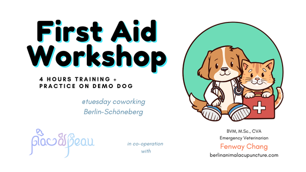 First Aid Training for Dogs & Cats